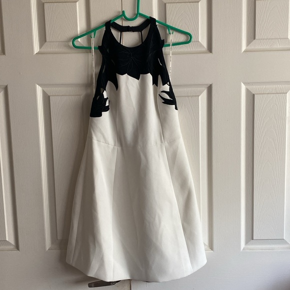 Halston Heritage White Embroidered Colorblock Mini Dress - Picture 5 of 9